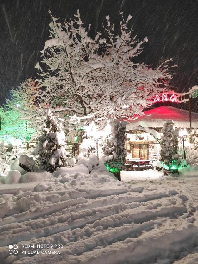 Luxury Private Studio In Green Life Bansko Exterior photo